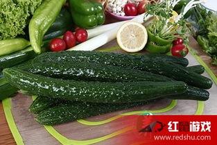 吃瓜娱乐 小黄瓜,吃瓜娱乐界的清新代表